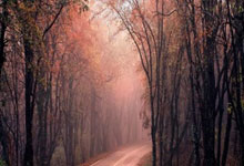 乐竞体育官网：达洛特生日快乐🎂.