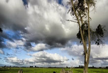 有“电”有“竞”专栏|拳头的格斗游戏真的有未来吗?.