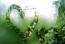 亚残运会田径赛场中国队收获多枚金牌央视网.