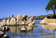 乐竞体育官网:“尔滨”遇到亚冬,冰雪更加闪亮2025-02-13.